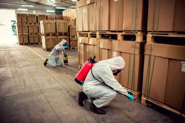 Best Rat Extermination Near Me  in Mirrormont, WA