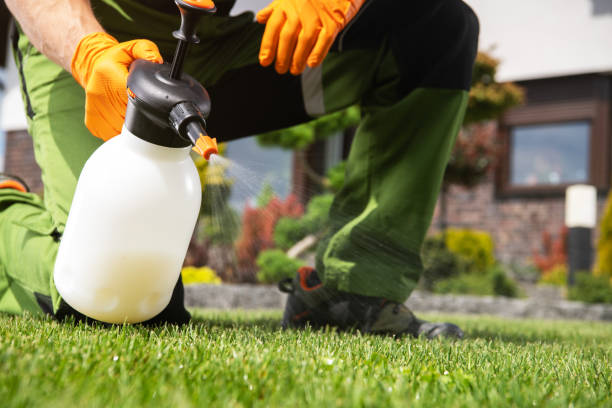Best Emergency Pest Control  in Mirrormont, WA