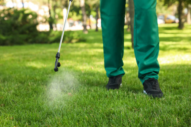 Insect Control in Mirrormont, WA