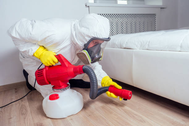 Best Emergency Pest Control  in Mirrormont, WA