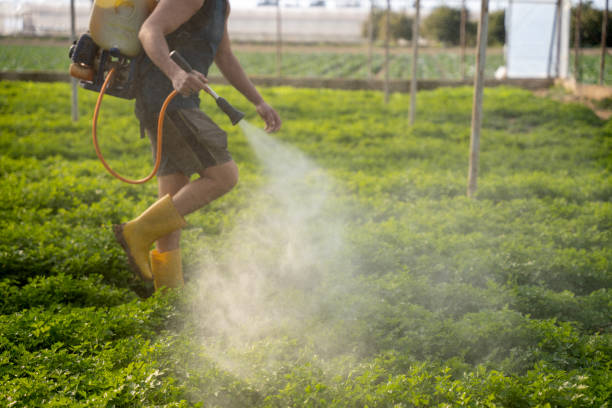 Best Commercial Pest Control Services  in Mirrormont, WA