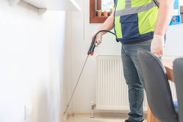 Pest Control Cost in Mirrormont, WA