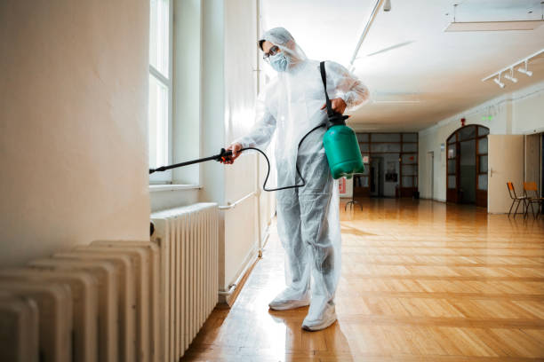 Best Insect Control  in Mirrormont, WA