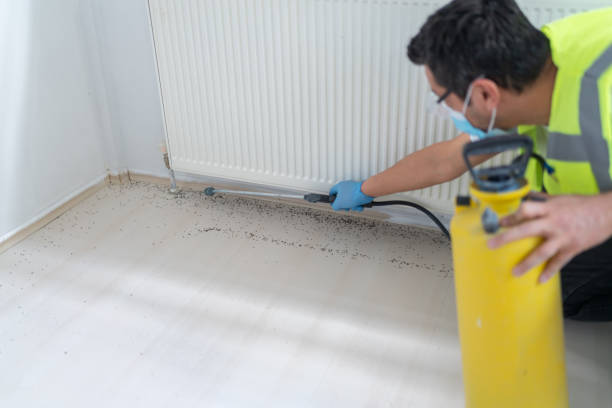 Best Residential Pest Control  in Mirrormont, WA